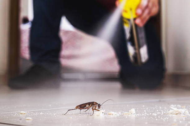 Best Insect Control  in Lawrence, IN